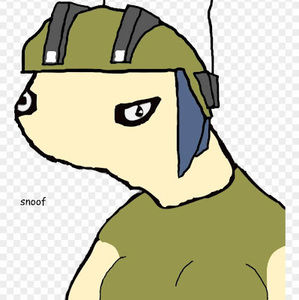 Meet your Posher, Owen fallon